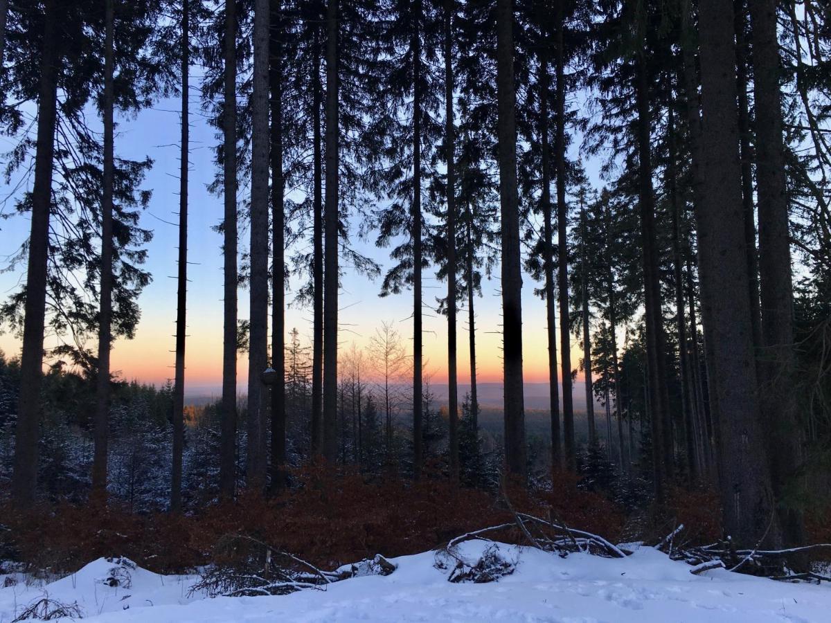 Fewo Harzromantik Braunlage Εξωτερικό φωτογραφία