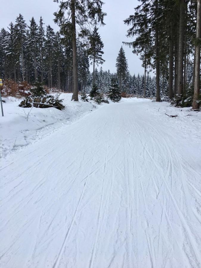 Fewo Harzromantik Braunlage Εξωτερικό φωτογραφία